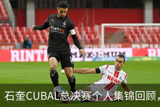 石奎CUBAL总决赛个人集锦回顾，全场得到33分11篮板