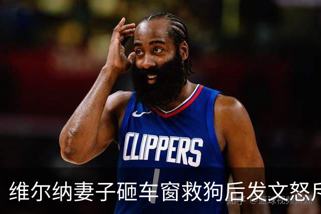维尔纳妻子砸车窗救狗后发文怒斥主人：30度的天怎能把狗关车上？